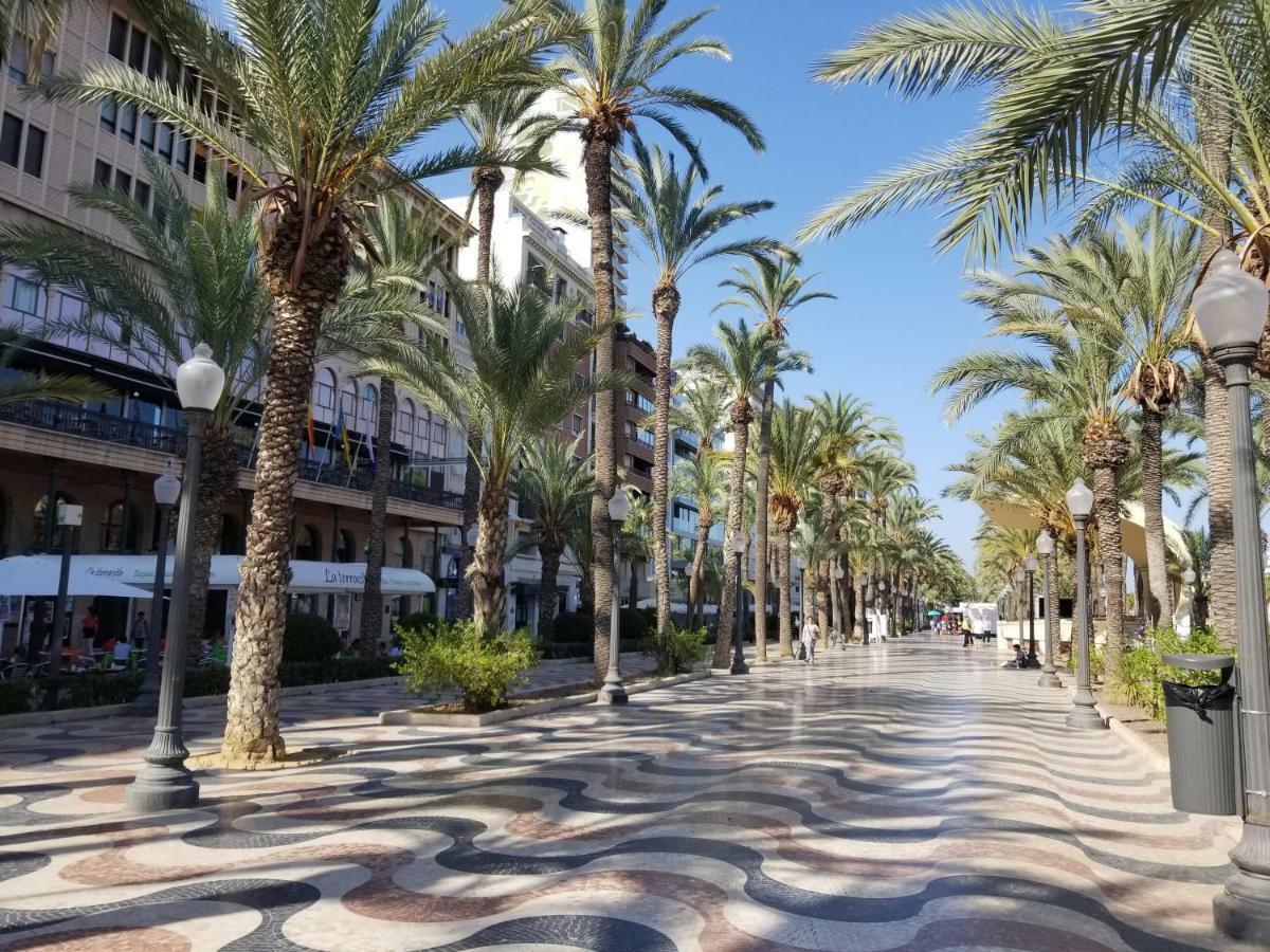 Calle Ingeniero Canales N 14, 2 Izq 03013 Alicante Dış mekan fotoğraf
